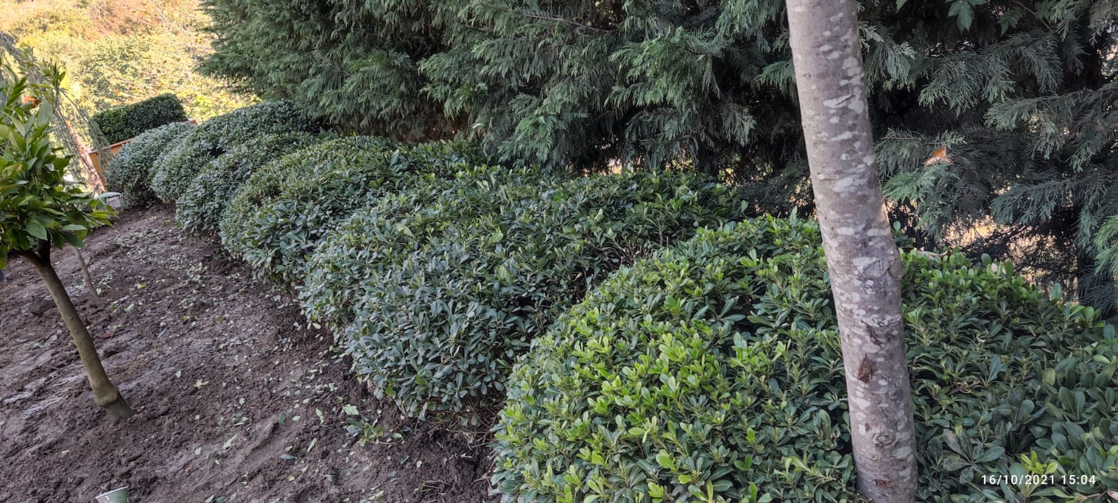 ZEKERİYAKÖY VİLLA 20